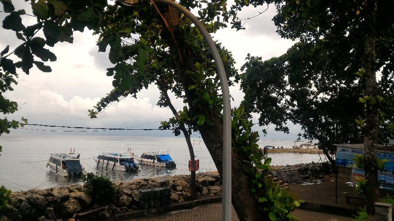 阿里特海滩度假别墅酒店 サヌール 外观 照片